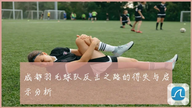 成都羽毛球队反击之路的得失与启示分析